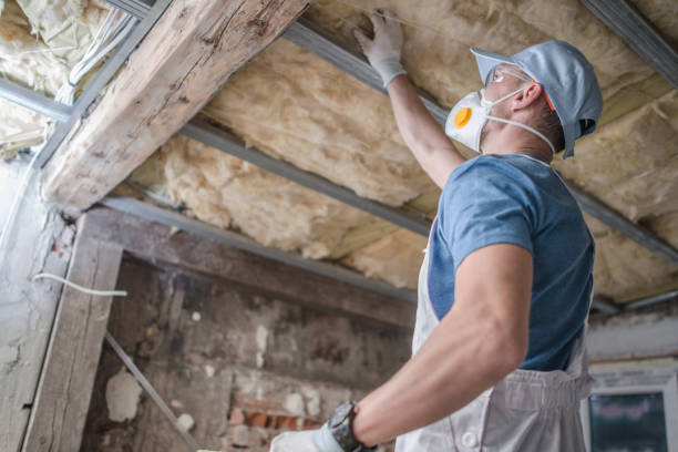 Best Wall Insulation Installation  in Minier, IL