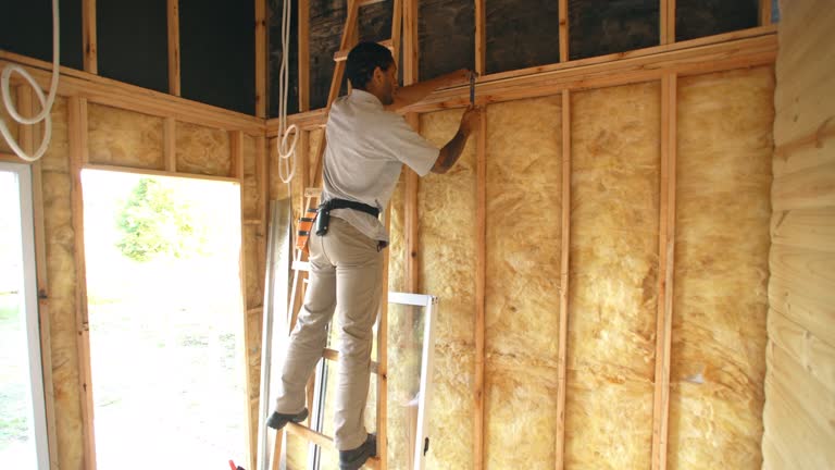 Best Insulation Air Sealing  in Minier, IL